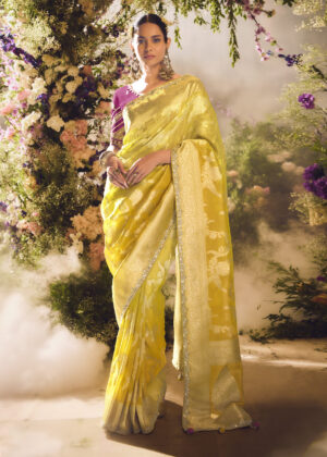 TATHASTU DESIGNER SAREE
