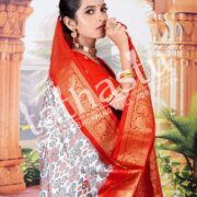 PURE SILK PATOLA 2-20000 (2)