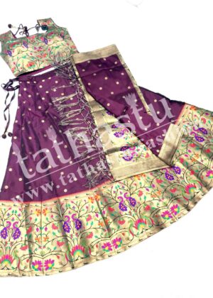 TATHASTU PAITHANI CROP TOP