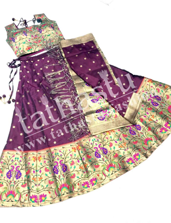 RD-PAITHANI CROP TOP-03 RD-PAITHANI CROP TOP-03