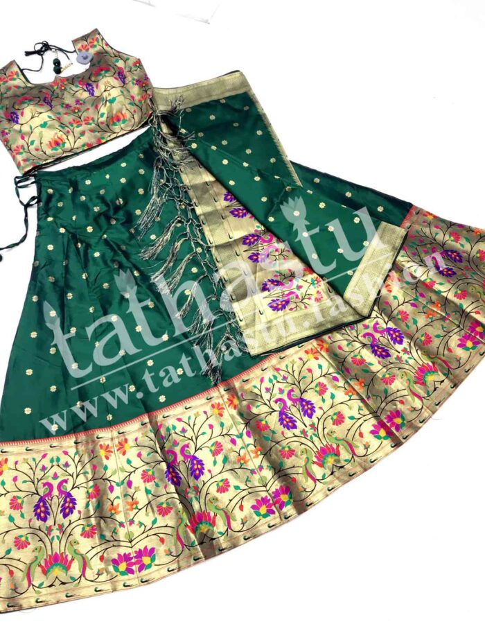 RD-PAITHANI CROP TOP-04 RD-PAITHANI CROP TOP-04