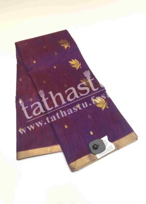 TATHASTU PURE SILK CHANDERI SAREE
