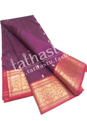 TATHASTU PURE SILK CHANDERI SAREE