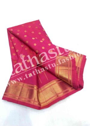 TATHASTU PURE SILK PAITHANI