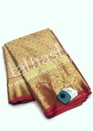 TATHASTU PURE TISSUE SILK SAREE