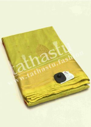 TATHASTU AARI WORK PAITHANI