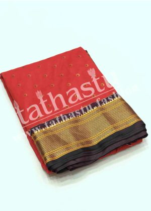 TATHASTU AARI WORK PAITHANI