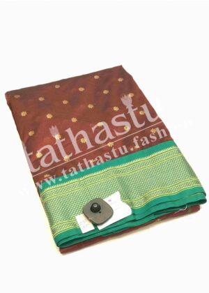 TATHASTU AARI WORK PAITHANI