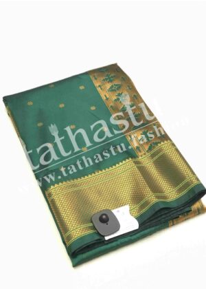 TATHASTU AARI WORK PAITHANI
