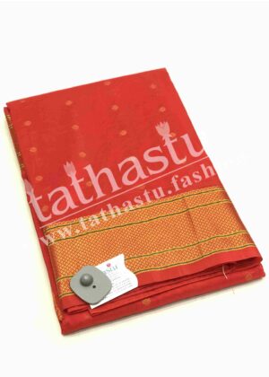 TATHASTU AARI WORK PAITHANI